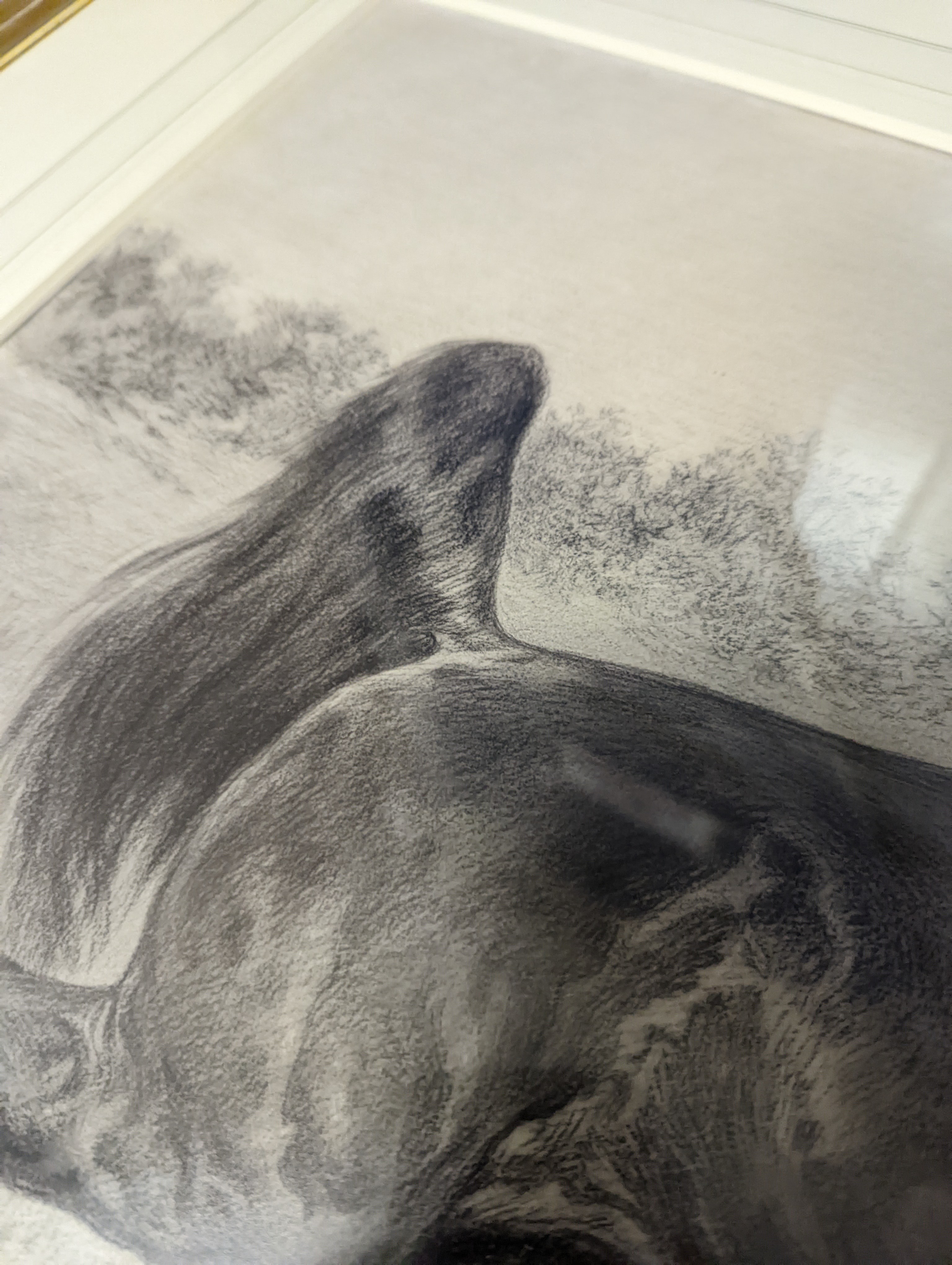 Rosa Bonheur (1822-1899), charcoal and chalk, Stallion and mare, signed and dated 1896, 52 x 84cm